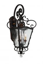  9333-270 - Brixton Ivy - 3 Light Outdoor Lantern