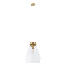  204099A - Montey 1-Light Pendant