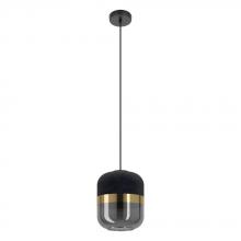  39918A - Sinsiga 1-Light Suspension