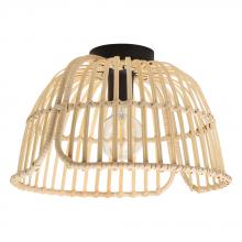  43872A - Glyneath 1L Ceiling Light