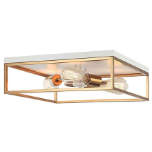 Clearouts FM0971139WHGD - Flush Mount
