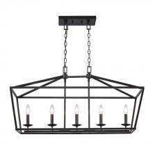  10263 BK - Fontana Chandelier