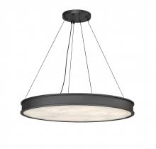  TRP295L37TBK - Bernhardt Pendant