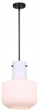 True Light Co. IPL2027B01BK - Pendant