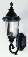  4021 BG - Chessie 20-In. 1-Light Crackle Glass Armed Wall Lantern