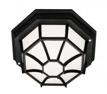  40581 BK - Benkert 1-Light, Weblike Design, Enclosed Flush Mount Ceiling Lantern Light