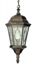  4717 BG - One Light Black Gold Water, Clear Oval Window Glass Hanging Lantern