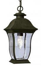  4974 WB - 1LT HANGING-OUTD-BEVELED CLEAR