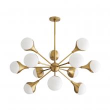  89631 - Augustus Chandelier