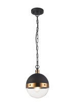  C61801AGCL - Torino Pendant