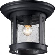  515F-BK - 1 Light Outdoor Flush Mount