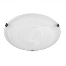  2822FF-AL - 2 Light Flush Mount