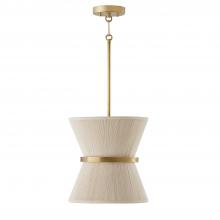  341211NP - 1 Light Pendant