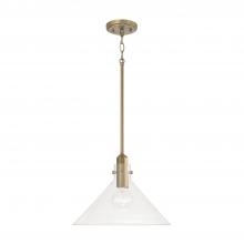  345811AD - 1 Light Pendant