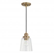  3718AD-135 - 1 Light Pendant