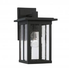  943811BK - 1 Light Outdoor Wall Lantern