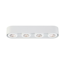  33619-019 - Nymark, 4LT LED Surface Mnt, Wht