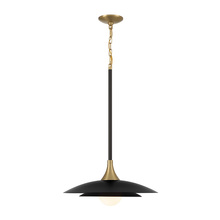  46441-041 - Welsh 1 Light Pendant in Black