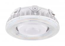  65/623 - LED Canopy Fixture; 25 Watt; CCT Selectable; White Finish; 100-277 Volt