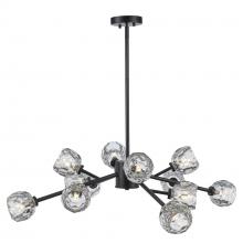  11669 BK - Monet Chandelier