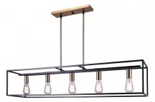 Lighting by PARK ICH576B05BKG46 - PENDANT 46"