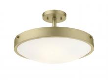  TRS1020BNG - Jasper Semi-Flush Mount