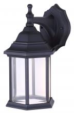  LOL336BK - Dane 1 Light Outdoor Lantern, Black Finish