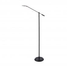  FL5021-BLK - LED FLOOR LAMP