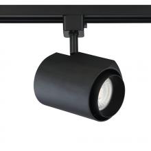  TLED-10-BLK - LED TRACK CYLINDER