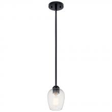  44380BKCS - Mini Pendant 1Lt