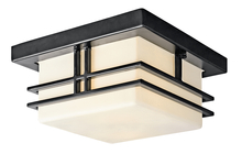  49206BK - Outdoor Ceiling 2Lt