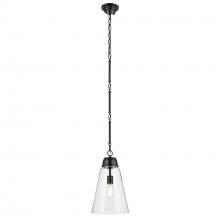  52661BKCLR - Pendant Medium 1Lt