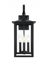  OD325W20BK - Carisle 7 inch Outdoor Pendant in Black