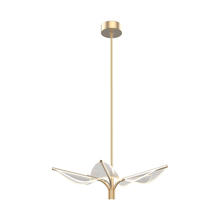  PD321105NB - Flora 5 Head Natural Brass LED Pendant