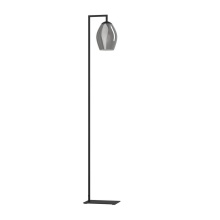 Eglo 390256A - 1 LT Floor Lamp w/ Black Finish & Chrome Smoked Glass Shade