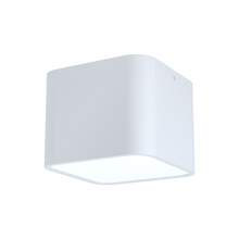 Eglo 99281A - Grimasola 1-Light Flush Mount