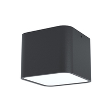Eglo 99283A - Grimasola 1-Light Flush Mount